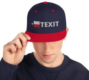 TEXIT Snapback Hat